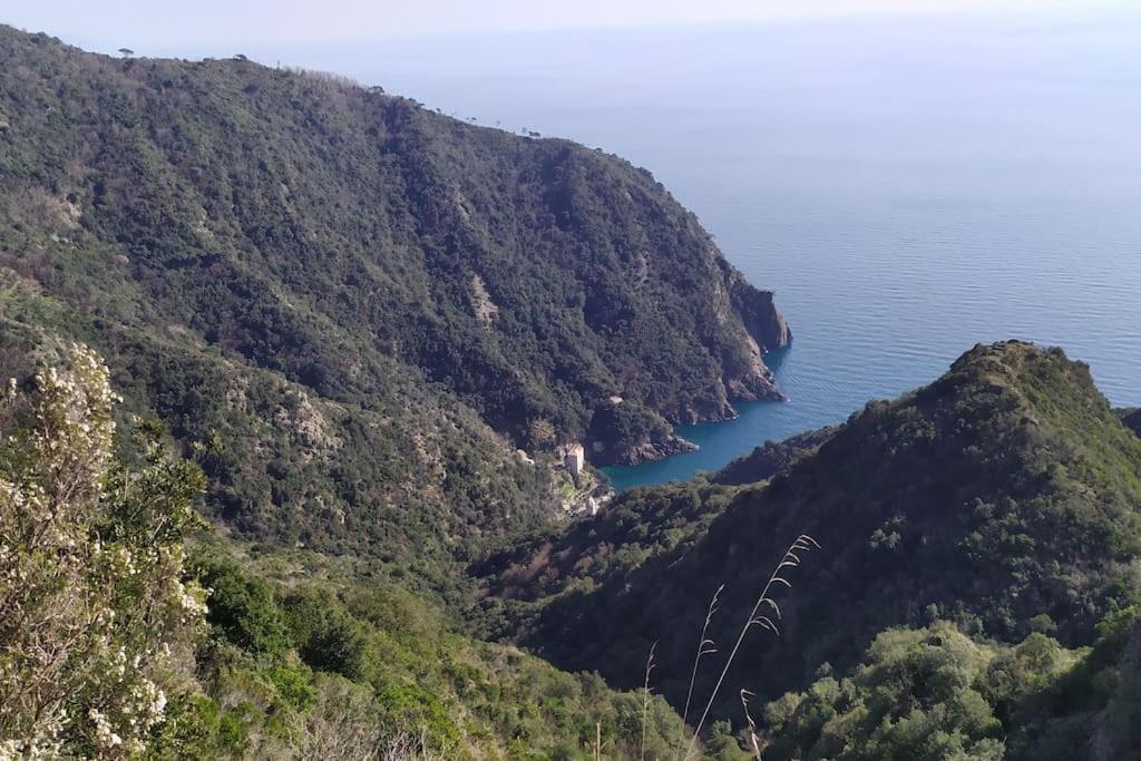 Casa Al Mare A Recco Apartment Luaran gambar